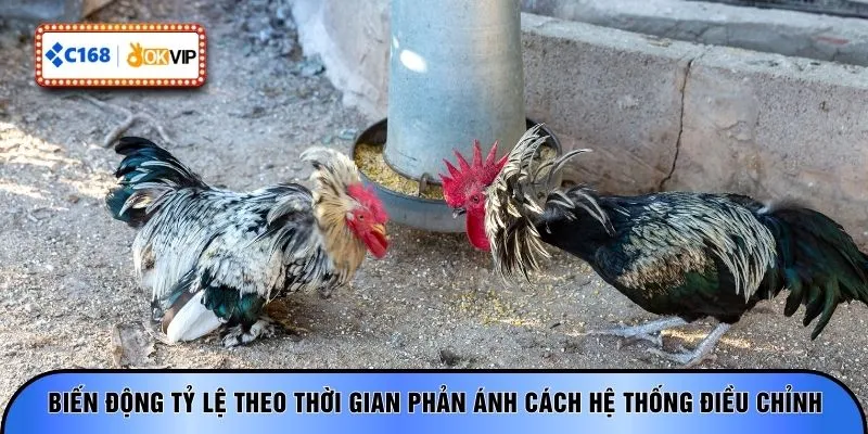 Biến động tỷ lệ theo thời gian phản ánh cách hệ thống điều chỉnh
