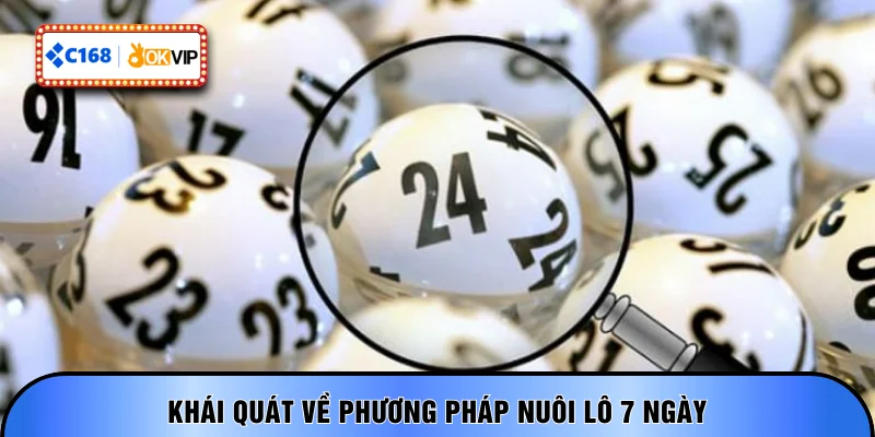Khái quát về phương pháp nuôi lô 7 ngày